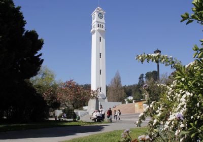 Concurso VRID Investigación de la UdeC entregó sus resultados
