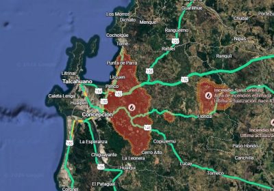 Plantaciones forestales y fuego: una combinación ajena al ecosistema del Chile central