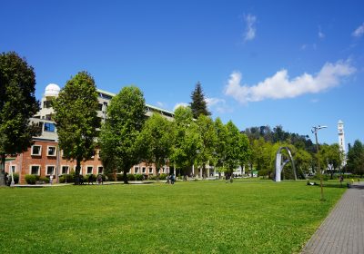 Convocatoria a dos posiciones postdoctorales en Física Cuántica y Ciencias de la Ingeniería